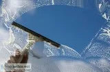 Window Cleaners in Tauranga