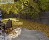 LEAF CLEAN UP