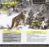 snow leopards tour