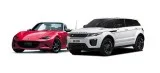 Rental Cars