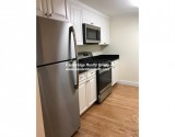 Chauncy st 1BED apt for rent
