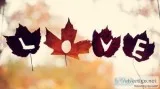 Take a tour and Fall in Love Pet Friendly Community