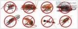Pest Control Service starting