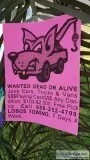 Wolfgang Auto
