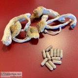 legal Psychedelics for sale Online