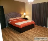 Great home needs great roommate