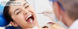 Dental Implants Cost in Delhi  crown and roots