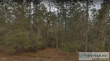 10 Lots for Sale in Interlachen FL