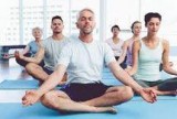 Yoga Teacher Training In India At Vrikshayoga