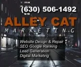Get expert website design help for your next project