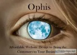 Cheap Sophisticated Website Built Fast