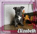 Elizabeth Female Frenchton