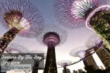 Official Singapore eVisa Online Application Center