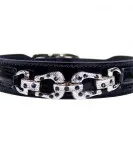 Designer Dog Collars Online at Cheap Rate