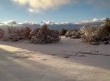 2.5 acres in arizona