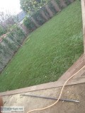 TO A GREAT NEW LAWN