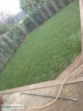 TO A GREAT NEW LAWN