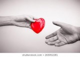 Indusmed Tourism - Organ Transplantation Surgery India