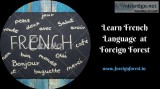 Get Amazing French Classes at Forest Foreign