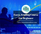 Forex Trading Course For Beginners - The Technical Floor