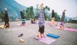 Yoga Teacher Training Diploma India