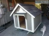 new dog house