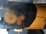 Citrus juicer