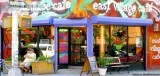 EAST VILLAGE TRAVELING NOTARY and APOSTILLE SERVICES (917-273-40