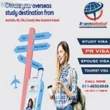 Best Overseas Education Consultants in Delhi  Transglobal