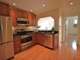 Brattle St Cambridge 1BED apt for rent