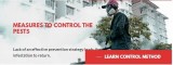 Ants Control Services in Etobicoke  Megapestcontrol.ca