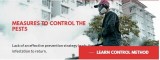 Ants Control Services in Etobicoke  Megapestcontrol.ca