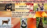 Pet Friendly-No Breed or Weight Restrictions