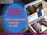 Developers in a Web Development Company in Delhi 0120-433-5876