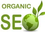 Organic SEO Servies