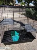 Small animal cage