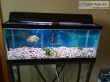 Twenty gal tank and stand