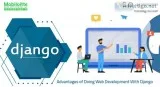 Django Web App Development
