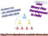 What do you understand by Mlm Binary Plan Development in Delhi 0
