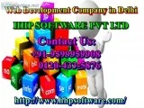 Discuss the working of Web Development Company in Delhi 0120-433