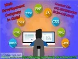 What do you think about Web Development Company in Delhi 0120-43