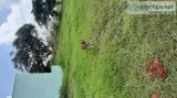 Land for sale at Attibele