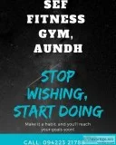 Sef Fitness Gym Aundh pune