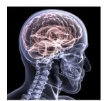 Neurologist in Brooklyn  NYC  Tbimedical.com