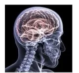 Neurologist in Brooklyn  NYC  Tbimedical.com