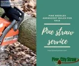 Emergency Tree Removal Service Atlanta Georgia
