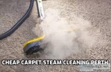 The best carpet steam cleaning price in Perth