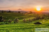 Plan an Exciting Bali Tour with Flamingo Travels