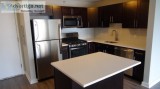 Luxury 1 Bedroom in River North
