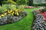Professionals for Landscaping in Richmond Hill